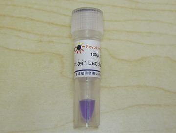 Protein Ladder (10-200kD, 非预染)